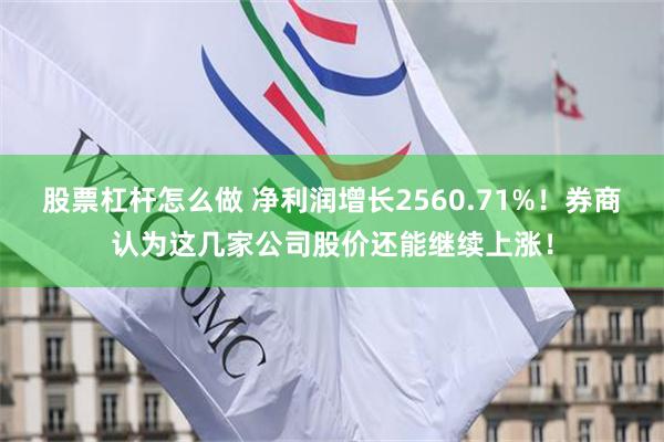 股票杠杆怎么做 净利润增长2560.71%！券商认为这几家公司股价还能继续上涨！