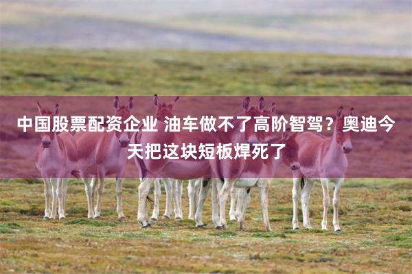 中国股票配资企业 油车做不了高阶智驾？奥迪今天把这块短板焊死了