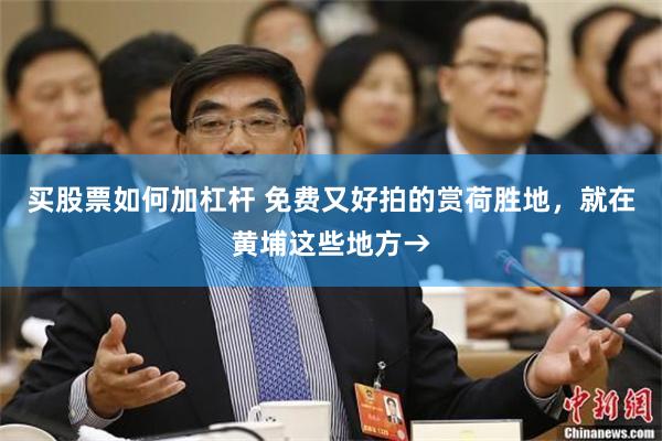 买股票如何加杠杆 免费又好拍的赏荷胜地，就在黄埔这些地方→