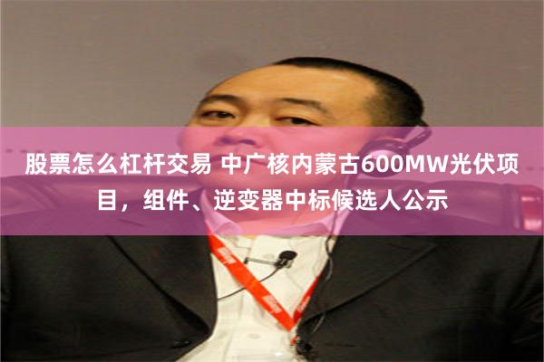 股票怎么杠杆交易 中广核内蒙古600MW光伏项目，组件、逆变器中标候选人公示