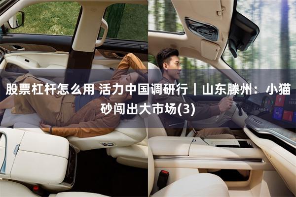 股票杠杆怎么用 活力中国调研行｜山东滕州：小猫砂闯出大市场(3)